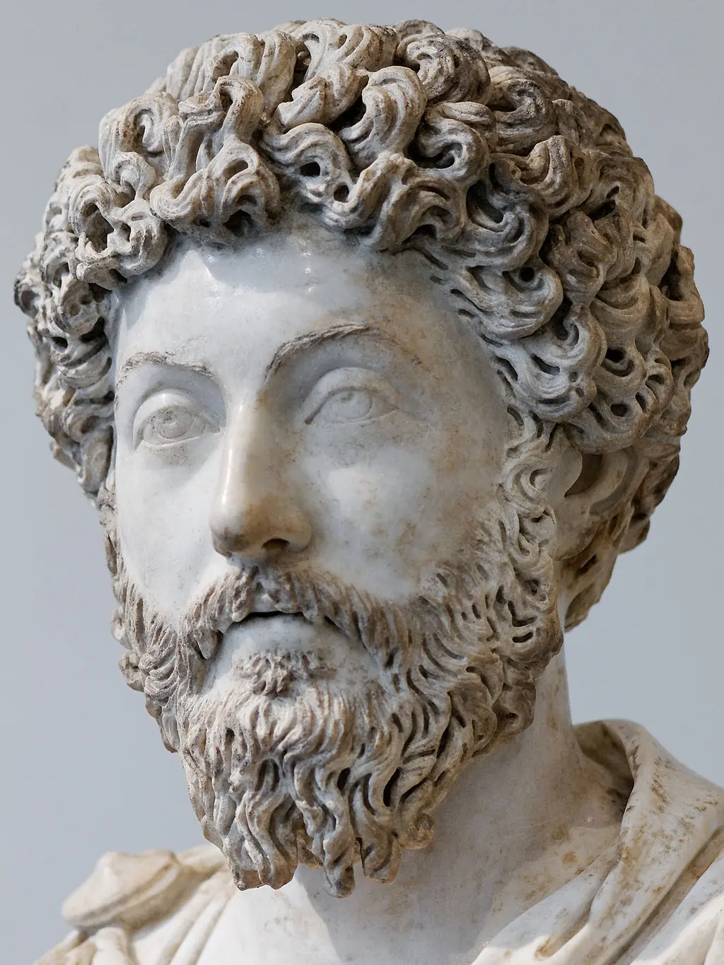 A marble bust of Marcus Aurelius - The Obstacle Is the Way in Immigration Too